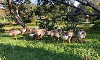 Imagem 7: Terreno à venda no bairro Centro - Cabreúva/SP