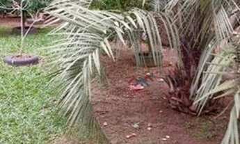 Imagem 6: Casa com 2 dormitórios à venda, 96 m² por R$ 583.000 - Fauth - Campo Bom/RS