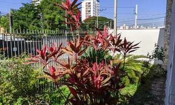 Imagem 3: Casa térrea para aluguel e venda com 150 m² com 3 quartos, suíte, edícula