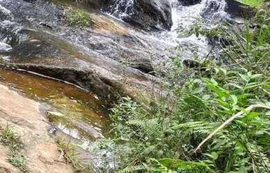 Imagem 3: Fazenda/Sítio/Chácara para venda tem 2500 metros quadrados com 2 quartos em Centro - Igara