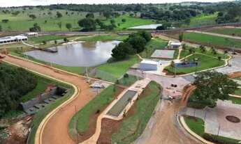 Imagem 2: Parqueville Quaresmeira