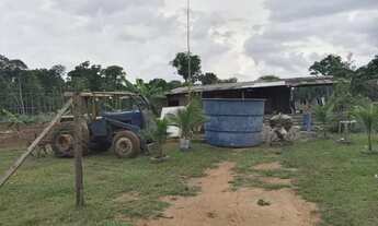 Imagem 5: Vendo sitio na região de manacapuru Amazonas