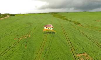 Imagem 4: Fazenda para Venda, Região produtora consolidada