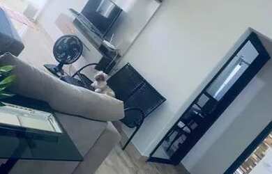 Imagem 3: Casa para venda possui 94 metros quadrados com 2 quartos em Itinga - Lauro de Freitas - Ba