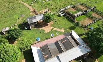 Imagem 7: Sitio 52 Hectares Formado