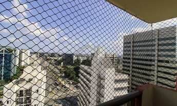 Imagem 4: São Paulo - Apartamento Padrão - Vila Guarani