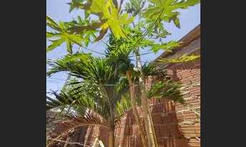 Imagem 5: Vendo casa na guaxuma