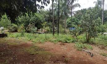 Imagem 7: Chácara próximo ao Daia