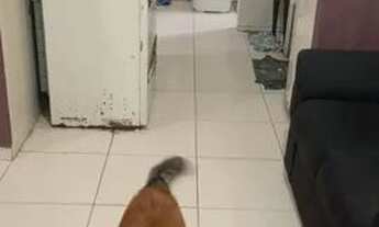 Imagem 2: Quarto para alugar