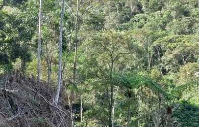 Imagem 2: Lote / Terreno à venda em Domingos Martins