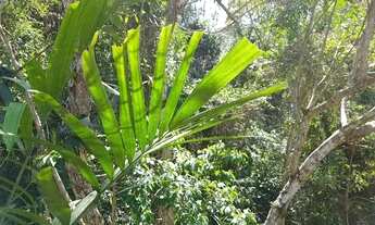 Imagem 5: Terreno com aproximadamente 400 m2 em condomínio fechado