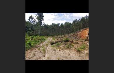 Imagem 4: Sítio 26.000 m2 em Jarinu, bairro Campo Largo