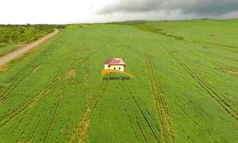 Imagem 3: Fazenda para Venda, Região produtora consolidada