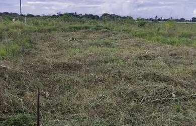 Imagem 3: Vendo um lote medindo 8x20 no povoado Miranda