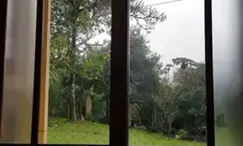 Imagem 6: Sítio em Fiuza Fazenda / sítio com venda por R$650.000