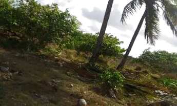 Imagem 5: Terreno Terreno / lote com venda por R$18.000