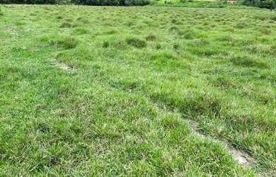 Imagem 5: LP - Vendo terreno com ruas abertas