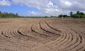 Imagem 7: Oportunidade - Vilaggio dos coqueiros