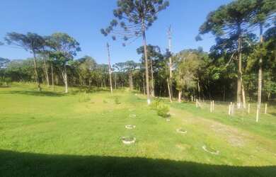 Imagem 4: CHÁCARA Chácara com venda por R$1.200.000