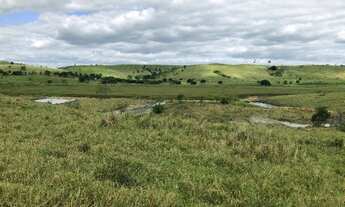 Imagem 6: Chácaras Boa Vista II - Alpercata - MG
