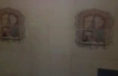 Imagem 3: ALUGO CASA EM IRAJA