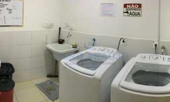 Imagem 3: Alugo samambaia sul