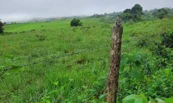 Imagem 3: Vendo excelente sítio em alagoinhas