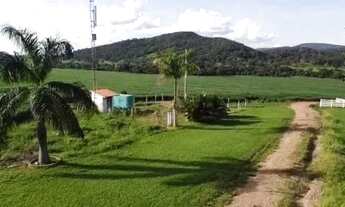 Imagem: Fazenda de 62 alqueires em São Francisco-GO