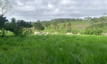 Imagem 2: FAZENDA EM ARAÇÁS - 250 TAREFAS