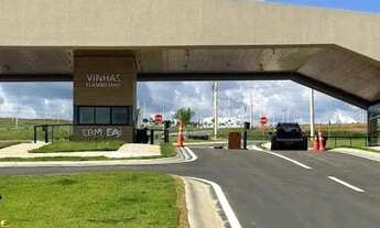 Imagem: Vinhas Flamboyant excelente lote