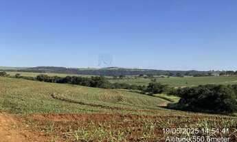 Imagem 7: Fazenda de 605 hectares à venda - Ibaté