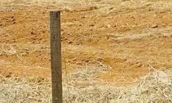 Imagem: Imóvel para venda tem 7000 metros quadrados