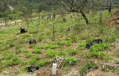 Imagem 7: Um espaço preparado para receber sua história