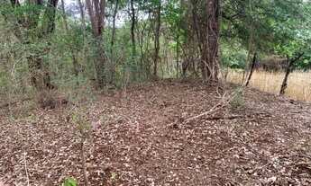 Imagem 7: VENDE-SE CHACARA