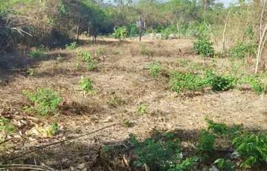 Imagem 5: Vende-se terreno