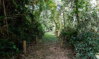 Imagem 6: Erreno à venda no Condomínio Gaia, Santa Felicidade 700 m², bosque, lazer completo e natu