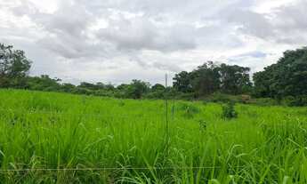 Imagem 2: Vendo excelente sítio as margens do São Francisco