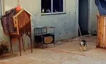 Imagem 2: Casa á venda com 2 quartos sendo 1 suíte no José Tavares em Campo Grande - MS