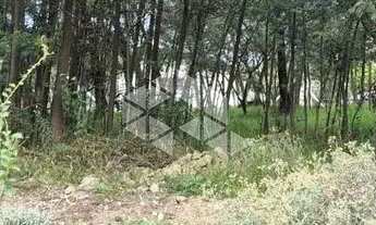 Imagem 6: Terreno Loteamento Primavera em Farroupilha