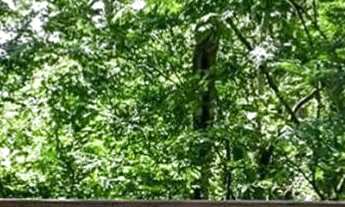 Imagem 6: Ágio Lote 636m2 Plateau Dor Unique - segunda etapa Goiânia Goiás. Lote à Venda, 636.18 p