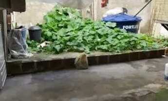 Imagem 2: Cariacica Mucuri - Disponível para venda