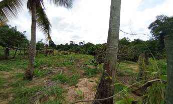 Imagem 3: Black Sitio em Xuri em Vila, parcelo, troco, negocio, aceito veículos e propostas leia