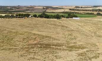 Imagem 7: Chácara 05 alqueires