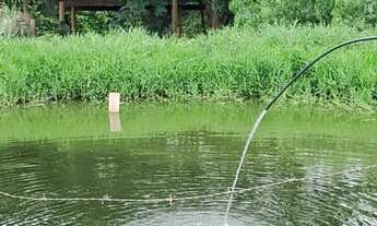 Imagem 2: Chácara em Bonfinópolis 5000m2 só R$ 400 mil