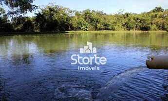 Imagem 11: Fazenda à venda de PORTEIRA FECHADA, 6 alqueires por R$ 4.500.000 - Zona Rural - Catalão/G