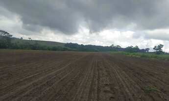 Imagem 6: FAZENDA EM CASSIA DOS COQUEIROS 53 ALQUEIRES 7.950.000.00