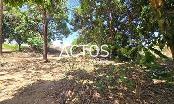 Imagem: Casa e Galpão Parque Tremendão