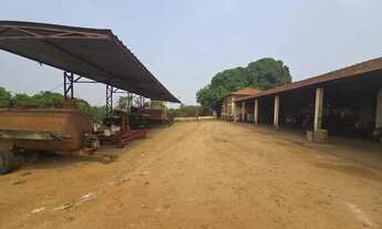 Imagem 5: Fazenda de Café Porteira Fechada Região de Ribeirão Preto SP