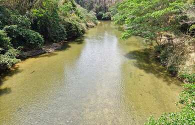 Imagem 7: Vendo fazenda de 17.5 Alqueires em Padre Bernardo Goiás próximo de Brasília DF