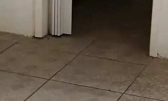 Imagem 5: JK no bairro MENINO DEUS em PORTO ALEGRE